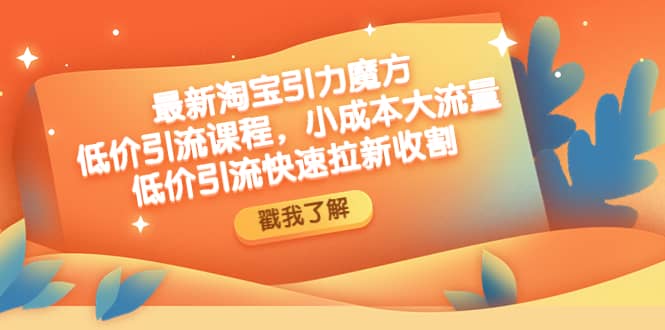 趣极宝 - 最新淘宝引力魔方低价引流实操：小成本大流量_趣极宝