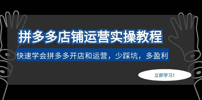 趣极宝 - 拼多多店铺运营实操教程：快速学会拼多多开店和运营，少踩坑，多盈利_趣极宝