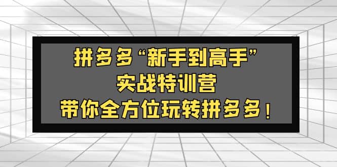 趣极宝 - 拼多多“新手到高手”实战特训营：带你全方位玩转拼多多_趣极宝