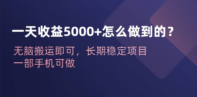 趣极宝 - 一天收益5000+怎么做到的？无脑搬运即可，长期稳定项目，一部手机可做_趣极宝