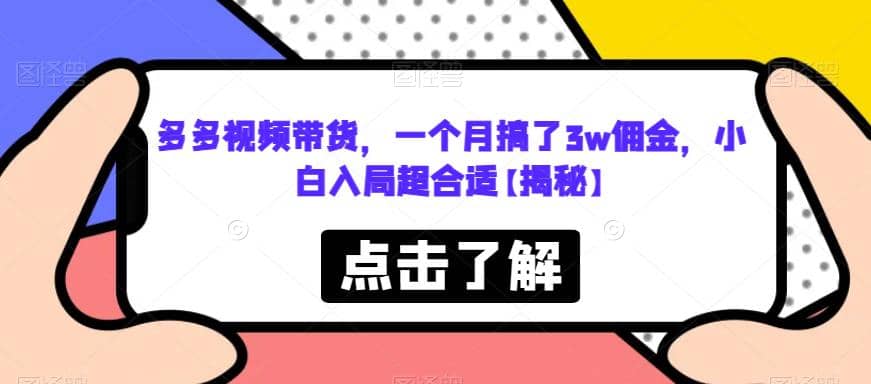 趣极宝 - 多多视频带货，一个月搞了3w佣金，小白入局超合适【揭秘】_趣极宝