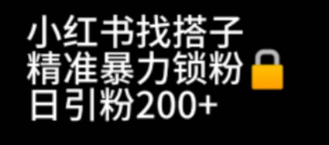 趣极宝 - 小红书找搭子暴力精准锁粉+引流日引200+精准粉_趣极宝