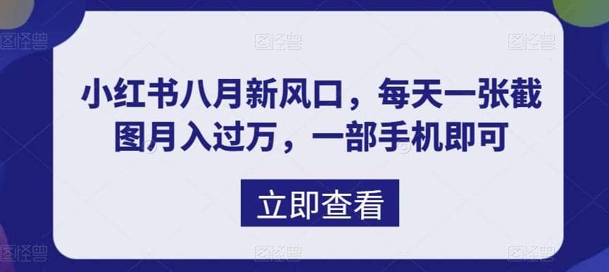 趣极宝 - 八月新风口，小红书虚拟项目一天收入1000+，实战揭秘_趣极宝