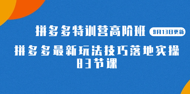 趣极宝 - 2023拼多多·特训营高阶班【9月13日更新】拼多多最新玩法技巧落地实操-83节_趣极宝