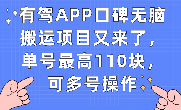 趣极宝 - 有驾APP口碑无脑搬运项目又来了，单号最高110块，可多号操作_趣极宝