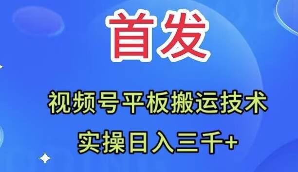 趣极宝 - 全网首发：视频号平板搬运技术，实操日入三千＋_趣极宝