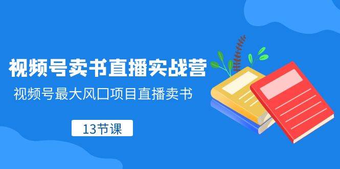 趣极宝 - 视频号-卖书直播实战营，视频号最大风囗项目直播卖书（13节课）_趣极宝