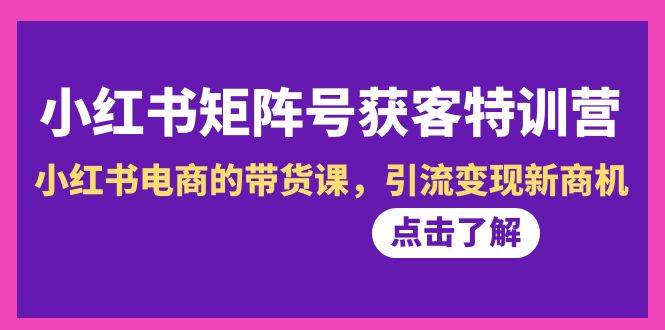 趣极宝 - 小红书-矩阵号获客特训营-第10期，小红书电商的带货课，引流变现新商机_趣极宝