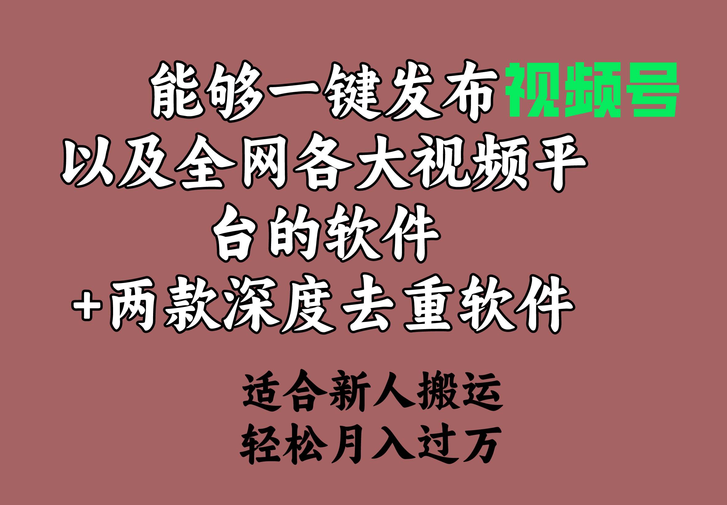 趣极宝 - 能够一键发布视频号以及全网各大视频平台的软件+两款深度去重软件 适合…_趣极宝