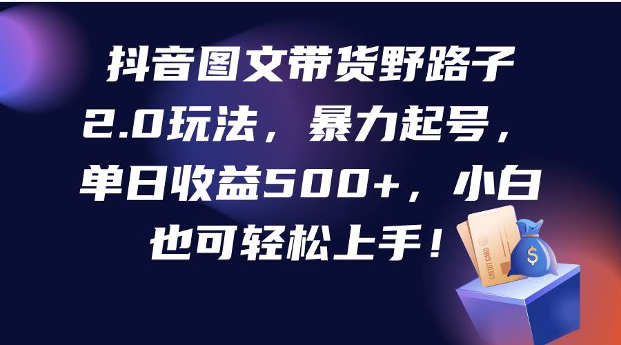 趣极宝 - 抖音图文带货野路子2.0玩法，暴力起号，单日收益500+，小白也可轻松上手！_趣极宝