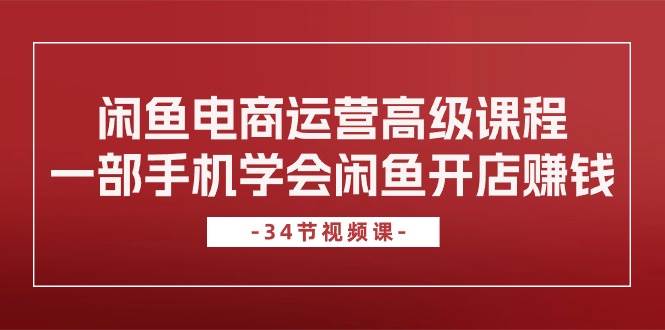 趣极宝 - 闲鱼电商运营高级课程，一部手机学会闲鱼开店赚钱（34节课）_趣极宝