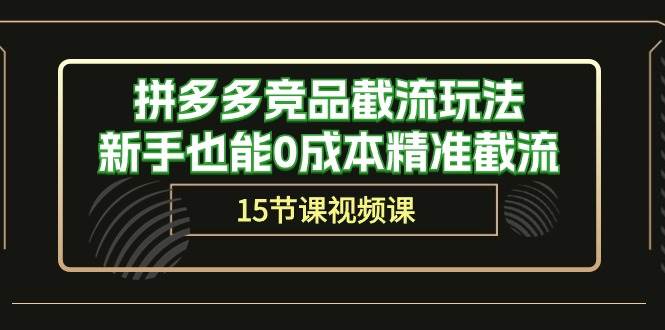 趣极宝 - 拼多多竞品截流玩法，新手也能0成本精准截流（15节课）_趣极宝