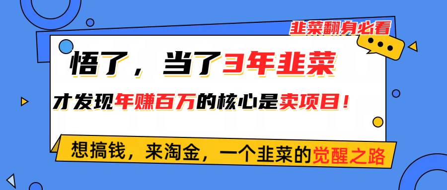 趣极宝 - 悟了，当了3年韭菜，才发现网赚圈年赚100万的核心是卖项目，含泪分享！_趣极宝