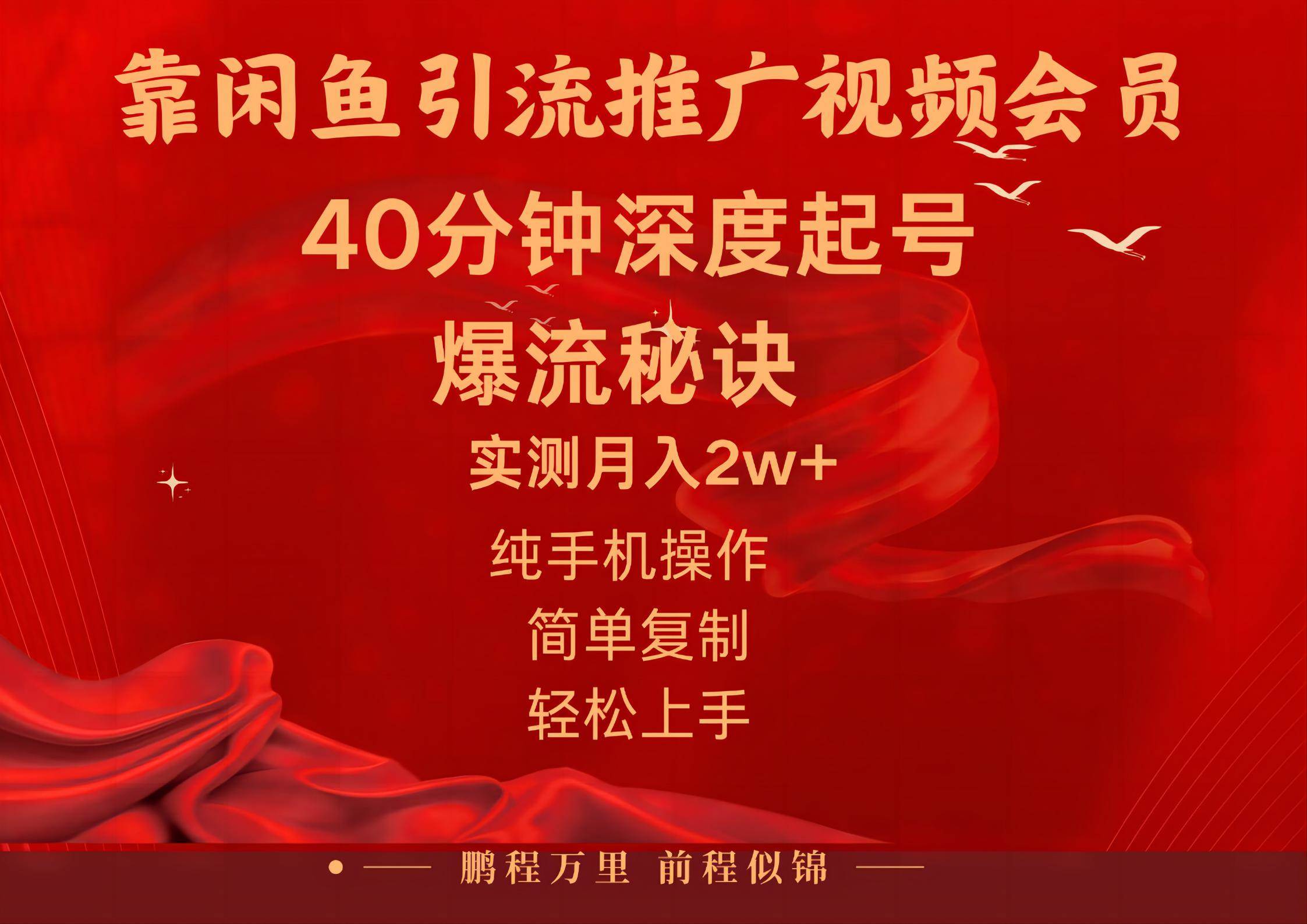 趣极宝 - 闲鱼暴力引流推广视频会员，能做到日入2W+，操作简单_趣极宝