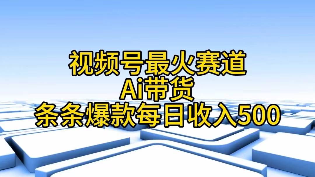 趣极宝 - 视频号最火赛道——Ai带货条条爆款每日收入500_趣极宝