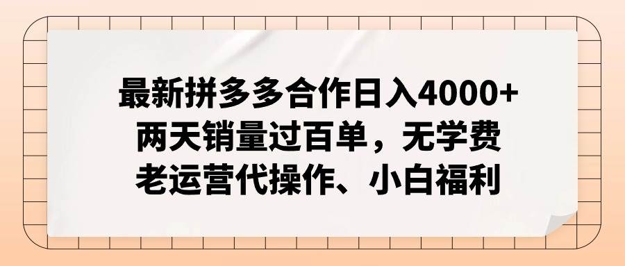 趣极宝 - 最新拼多多合作日入4000+两天销量过百单，无学费、老运营代操作、小白福利_趣极宝