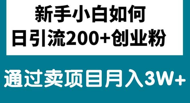 趣极宝 - 新手小白日引流200+创业粉,通过卖项目月入3W+_趣极宝