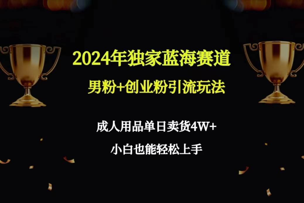 趣极宝 - 2024年独家蓝海赛道男粉+创业粉引流玩法，成人用品单日卖货4W+保姆教程_趣极宝